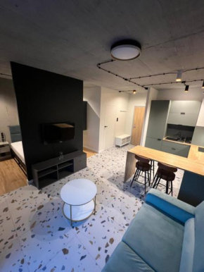 Apartament blisko parku i stadionu Chorzów